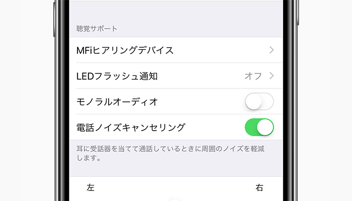 iOS Accessibility Screen